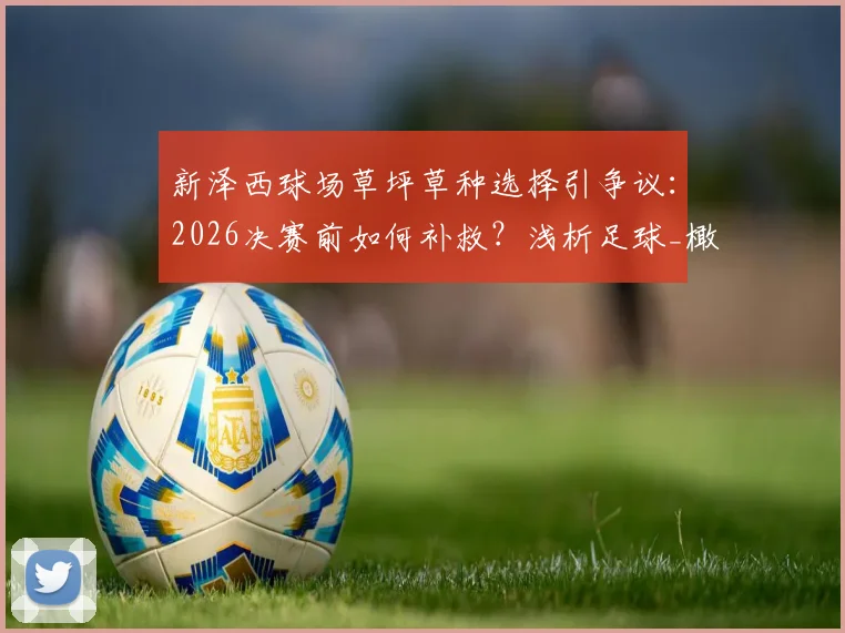 新泽西球场草坪草种选择引争议：2026决赛前如何补救？浅析足球_橄榄球场草坪标准与维护关键